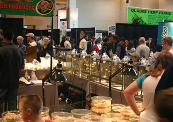 A NARBC reptile show floor, past show photograph 75