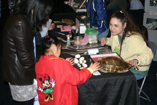 A NARBC reptile show floor, past show photograph 62